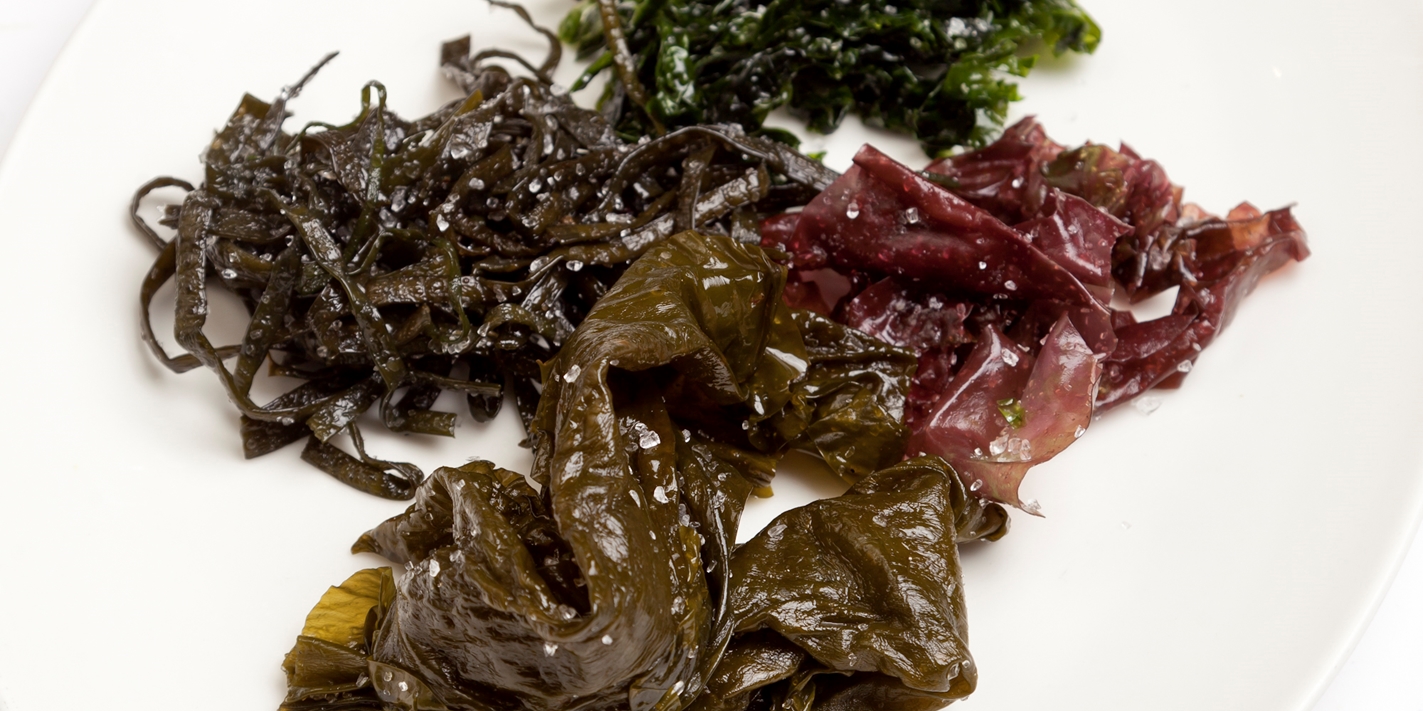 Curso de cocina con algas. Remineralízate